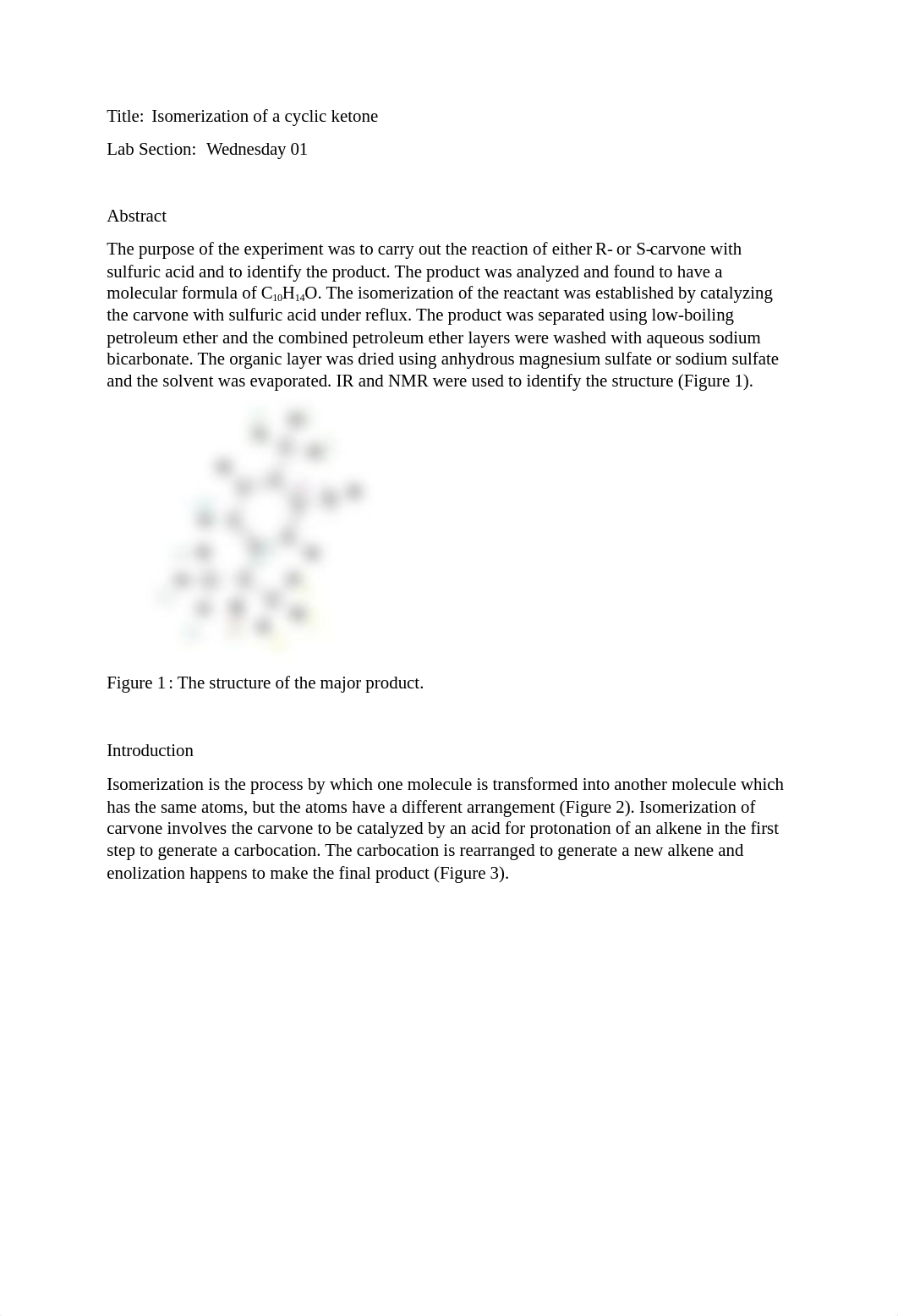 Isomerization Lab.docx_djdo619f45w_page1