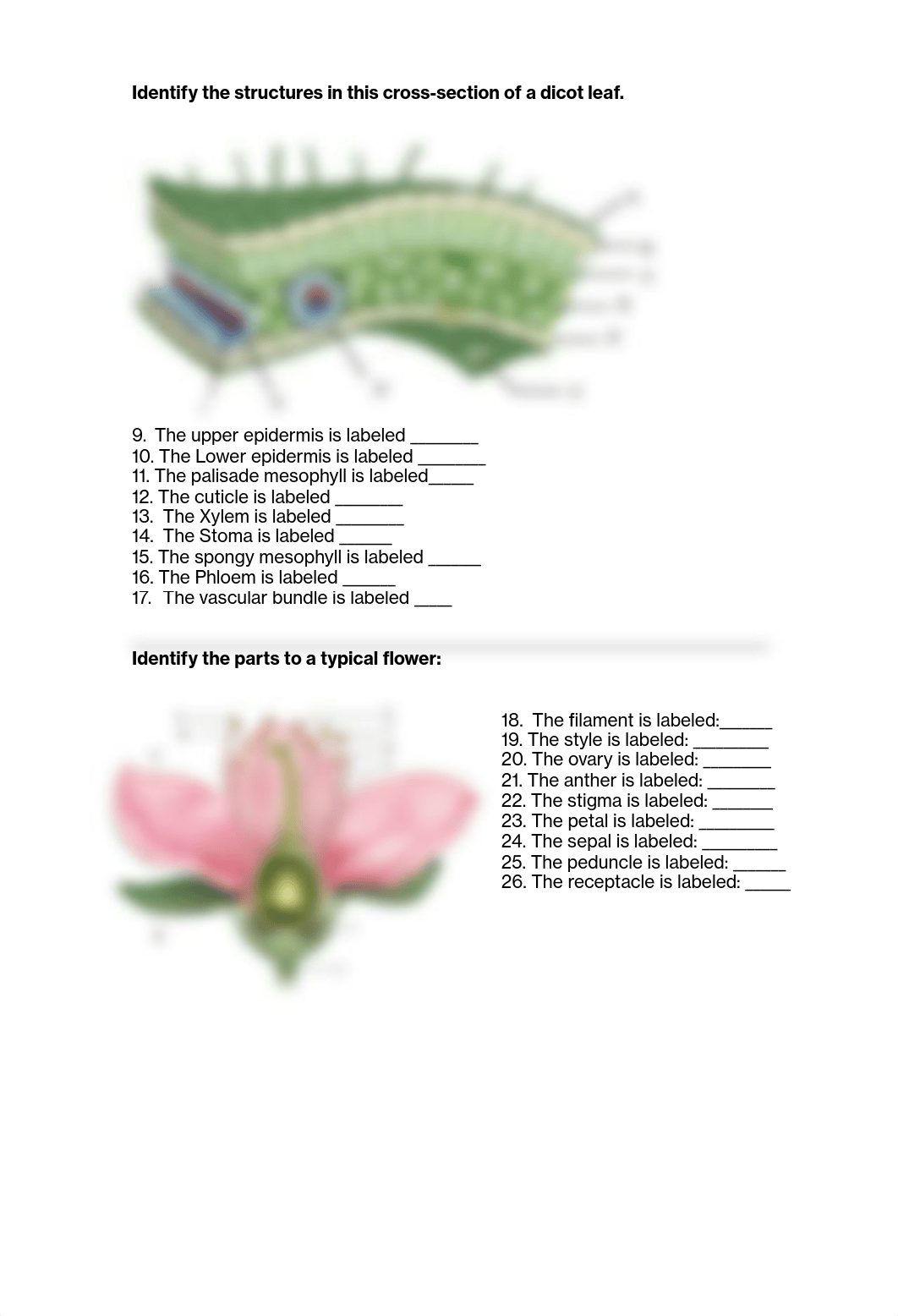 Module 4 Lab.pdf_djdvq7furwx_page2