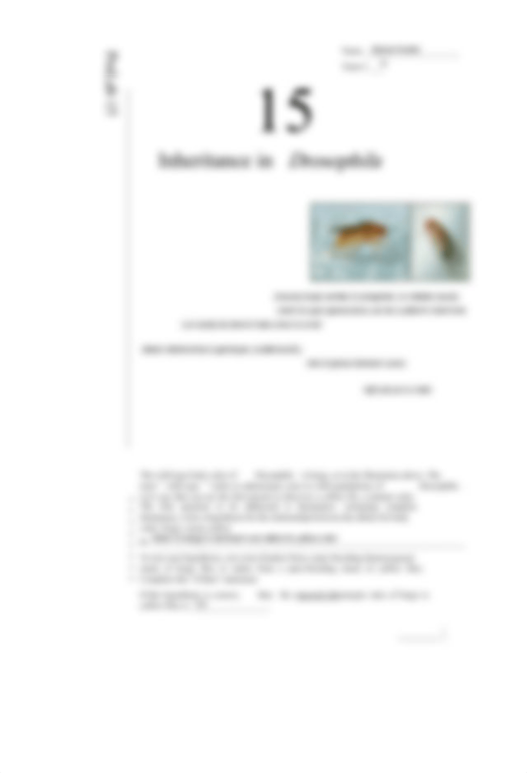 15a PreLab 15 Inheritance in Drosophila.pdf_dje0enuayux_page1