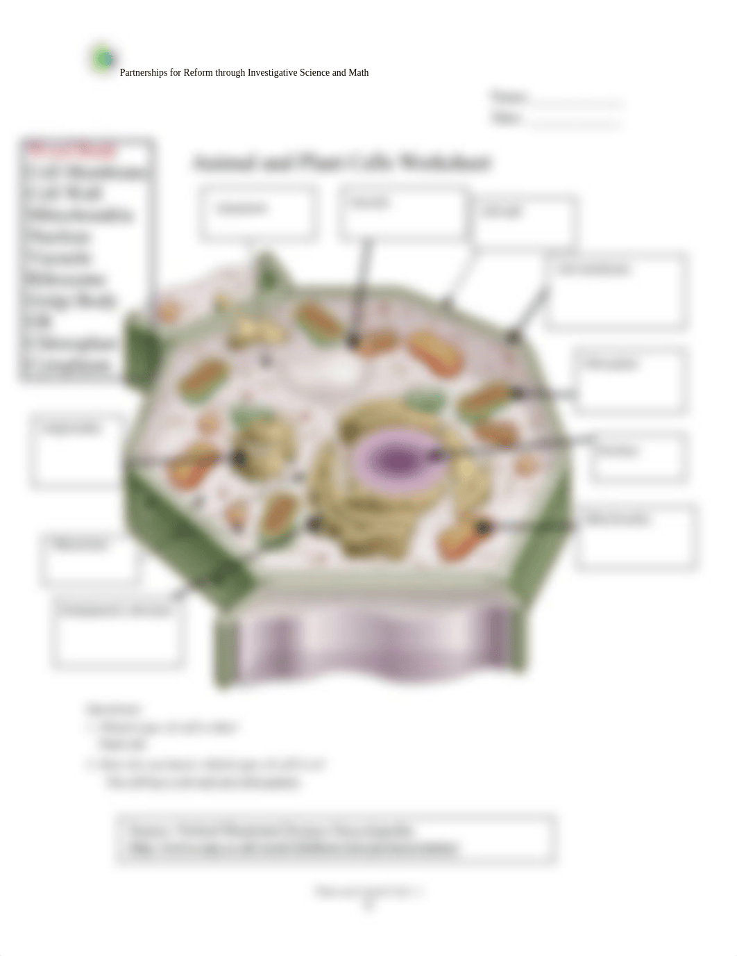 _cells practice worksheet 2.pdf_dje8v0nshst_page2