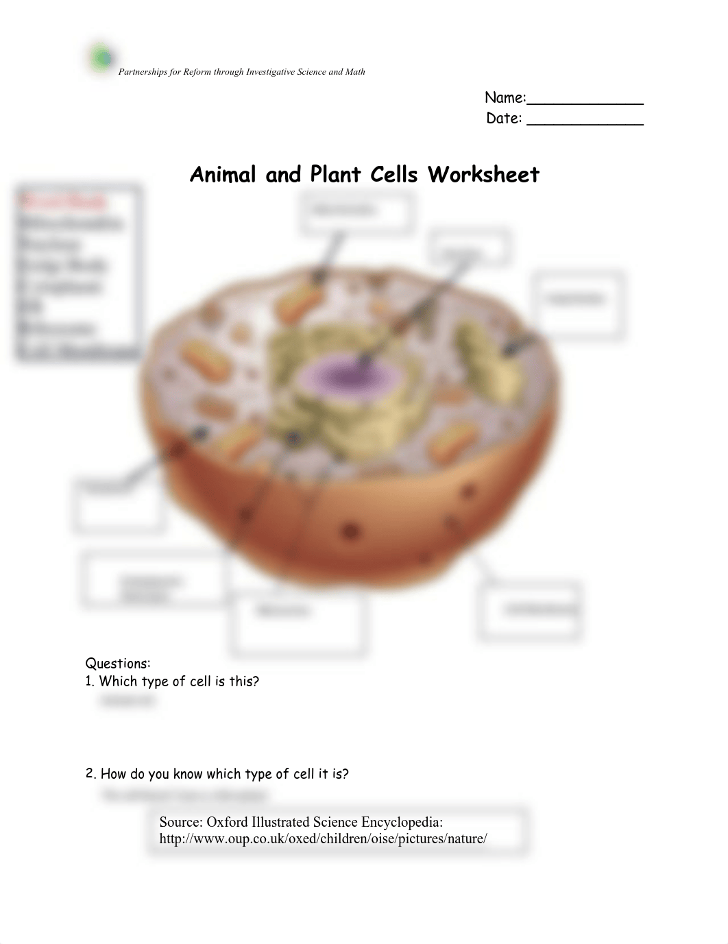 _cells practice worksheet 2.pdf_dje8v0nshst_page1