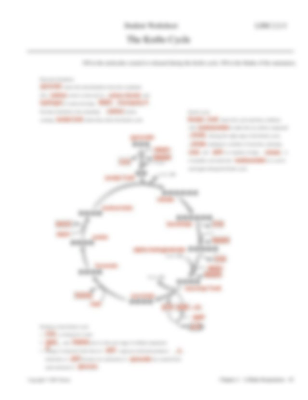 CLASSWORK Gylcolysis and Krebs Cycle Review Diagram.pdf_djei60lblgs_page2