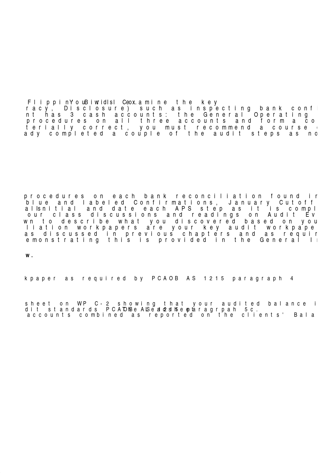 Cash Audit Case - new Audit I suggested solution-3.xlsx_djejiuurw0t_page2