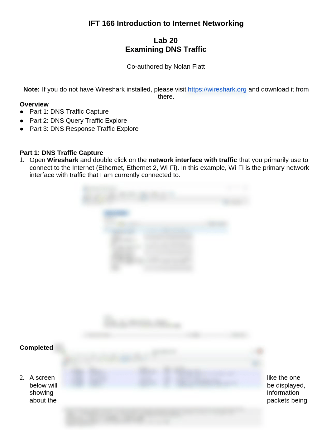 Lab 20 (Examining DNS Traffic) NEW.docx_djelk3ydmsr_page1