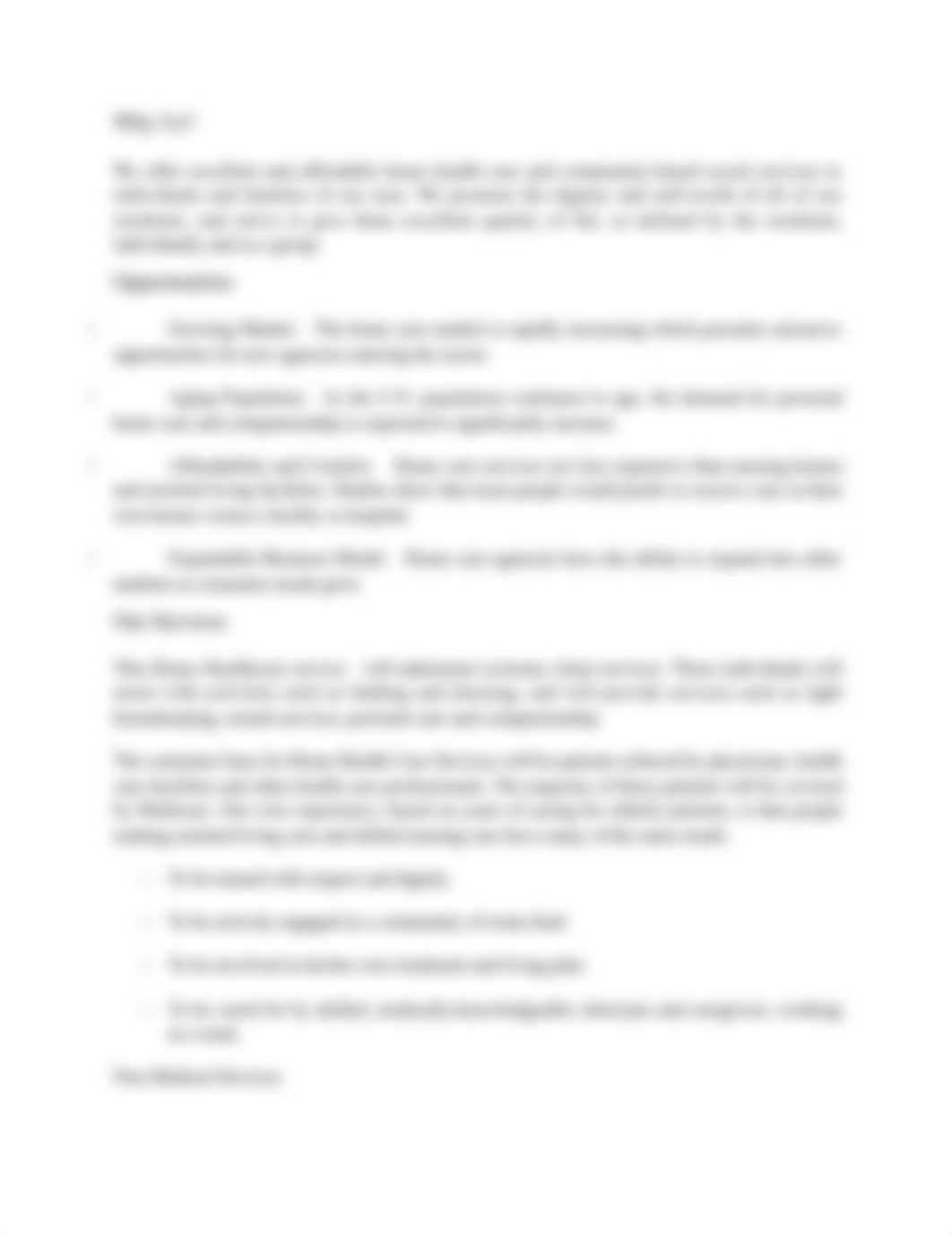 Home care business proposal.docx_djep769d83v_page2