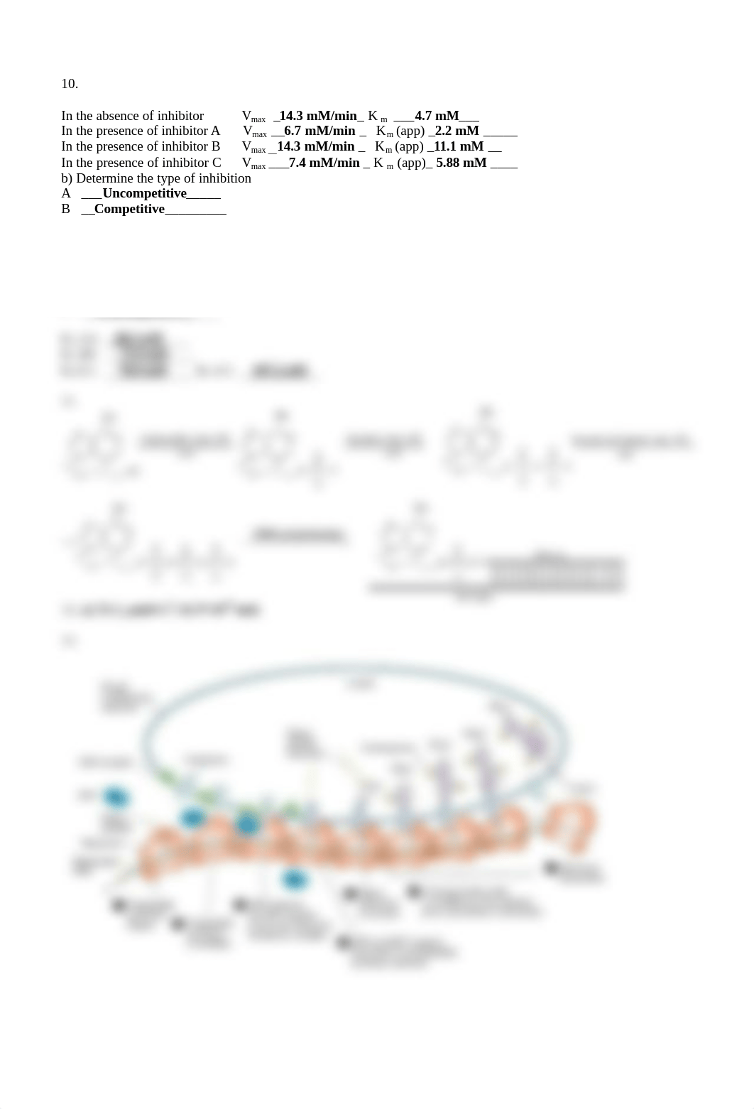 Final Exam sample Answers.pdf_djerd014qjh_page2