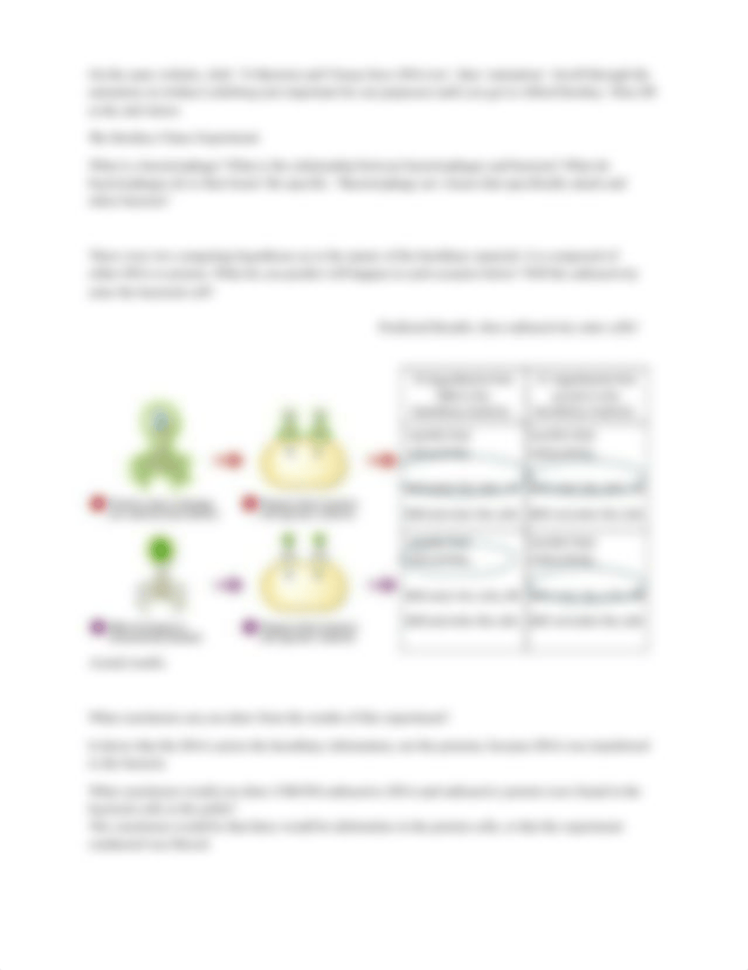 Classic Experiments in Molecular Biology Worksheet.docx_djes85mwxqw_page3