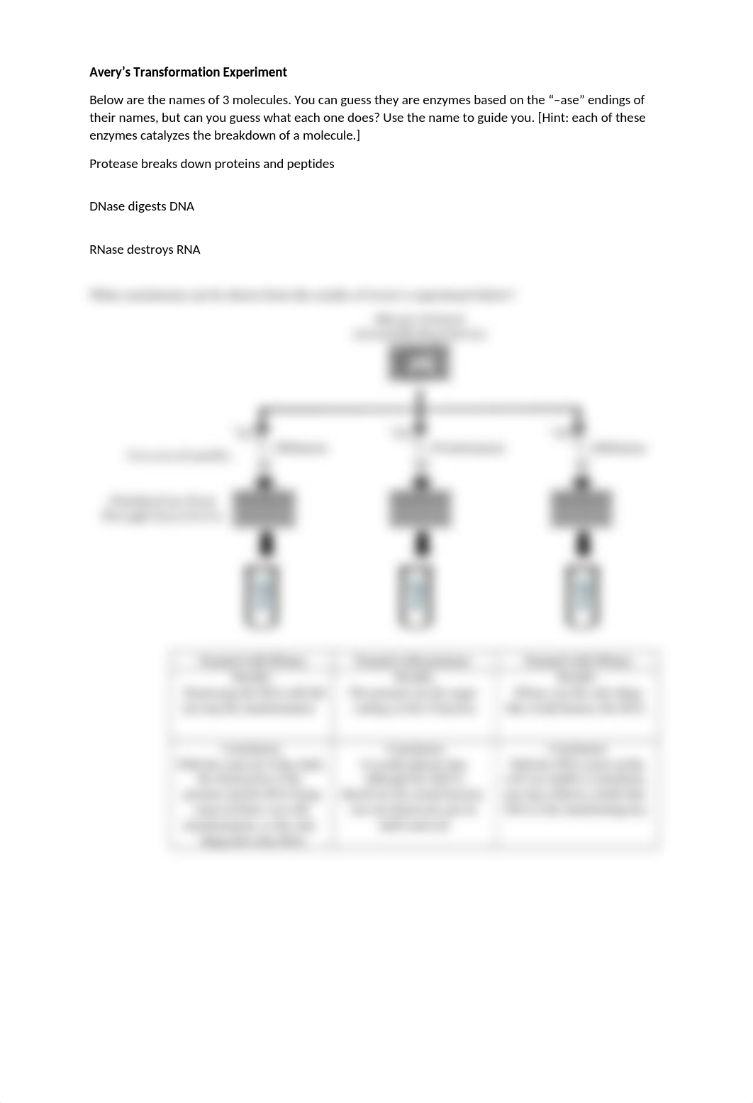 Classic Experiments in Molecular Biology Worksheet.docx_djes85mwxqw_page2