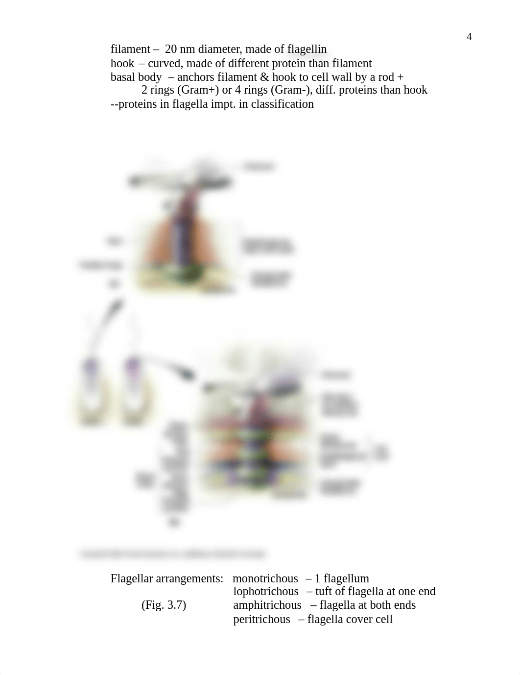 BMM3-2notespp_djev5x0776s_page4