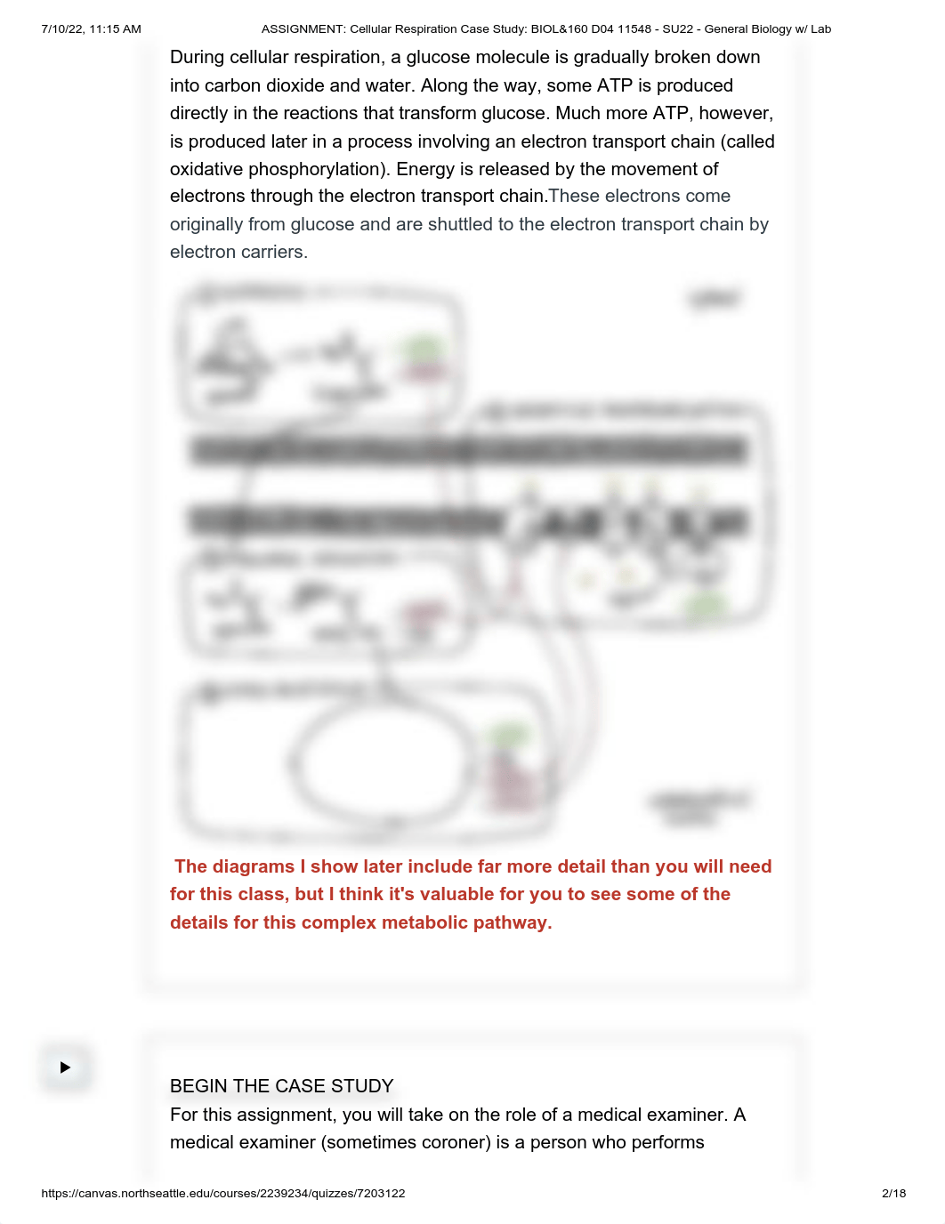 ASSIGNMENT_ Cellular Respiration Case Study_ BIOL&160 D04 11548 - SU22 - General Biology w_ Lab.pdf_djexyjjby7p_page2