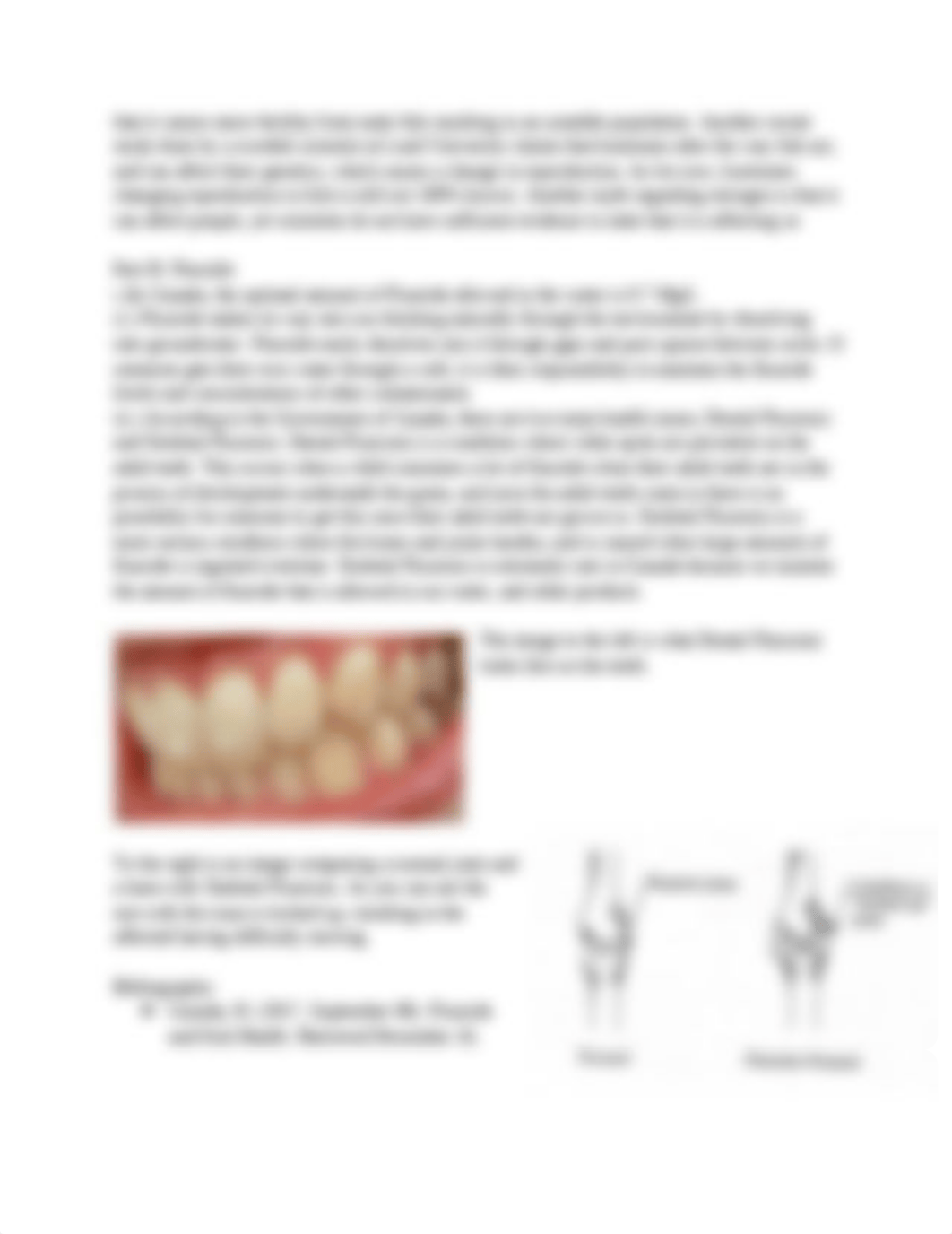 SCH3U- Solutions and Solubility STSE Project.docx_djeybrr3y1s_page3