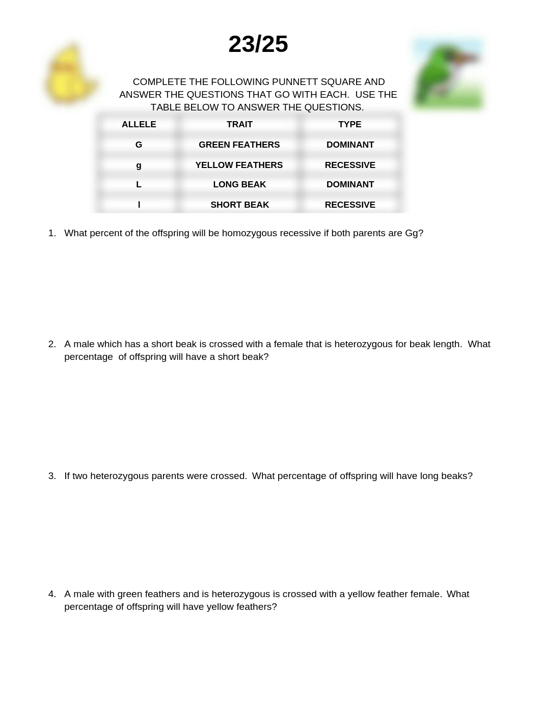 Copy of PUNNETT SQUARE- birds.docx_djfryv3ebgl_page1