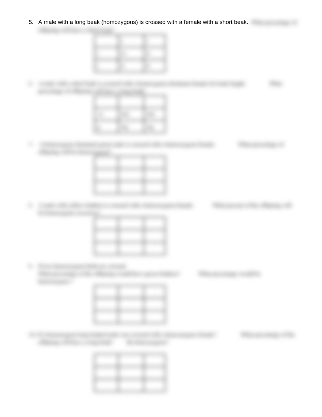 Copy of PUNNETT SQUARE- birds.docx_djfryv3ebgl_page2