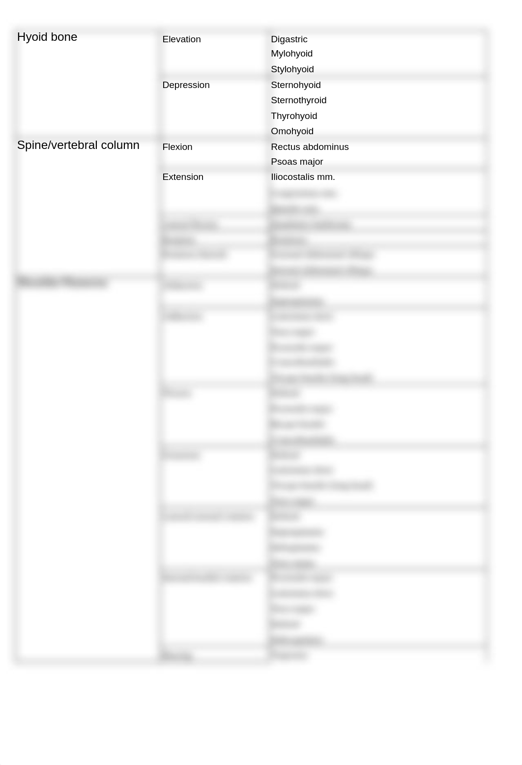 Copy of Muscles grouped by Action chart_djftxe6cktc_page2