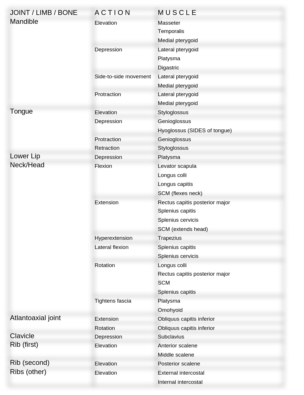 Copy of Muscles grouped by Action chart_djftxe6cktc_page1