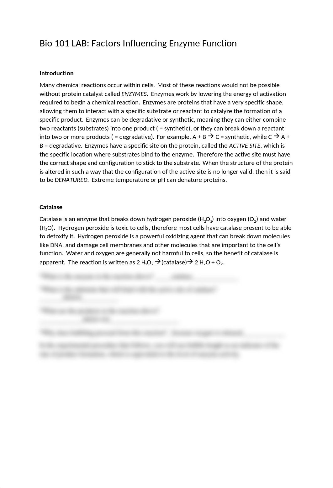 Enzyme Lab BIO MAC.docx_djg08bwv8n3_page1