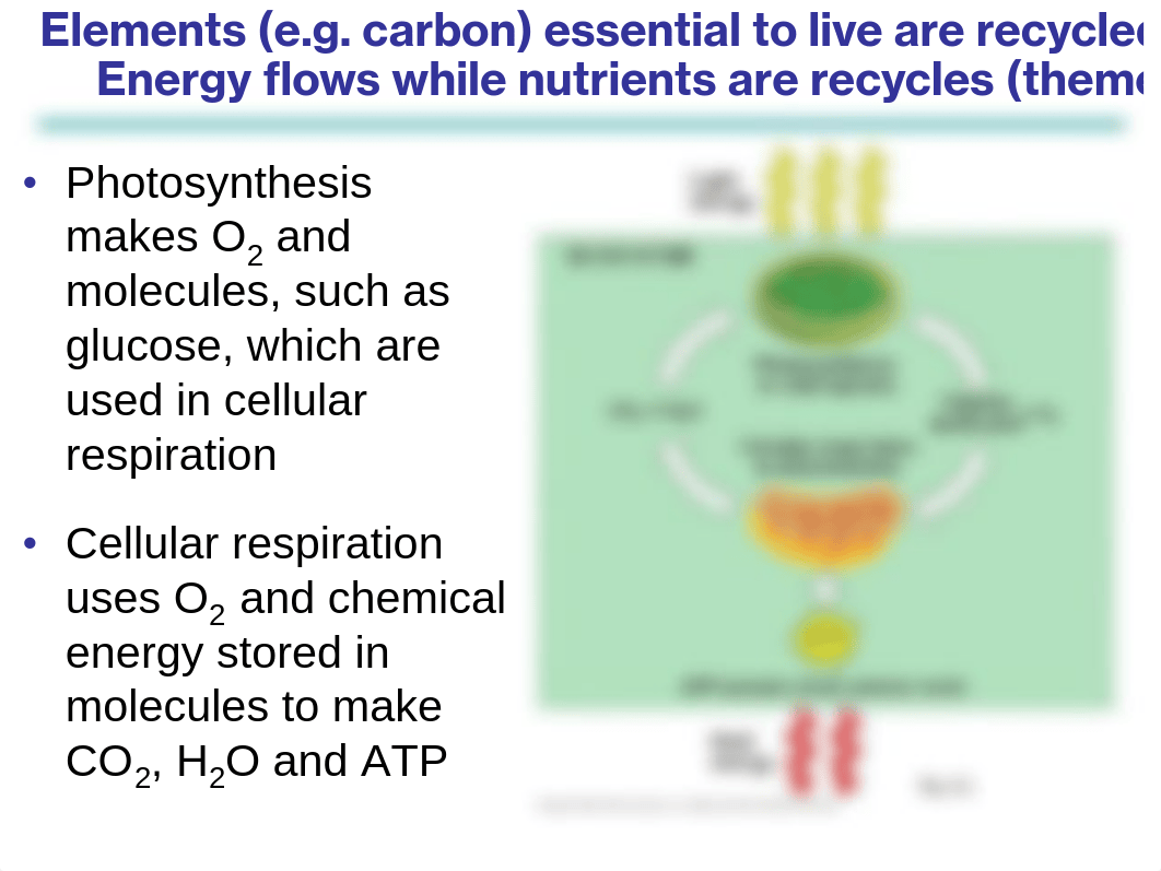 Chapter 9 - Cellular Respiration and Fermentation_djg6autstwi_page4