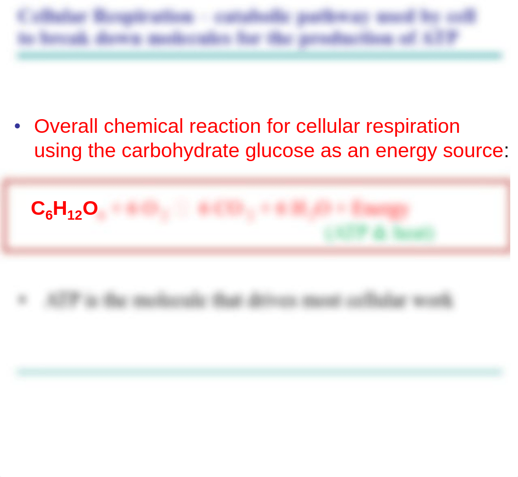 Chapter 9 - Cellular Respiration and Fermentation_djg6autstwi_page5