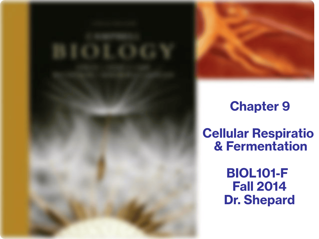 Chapter 9 - Cellular Respiration and Fermentation_djg6autstwi_page1