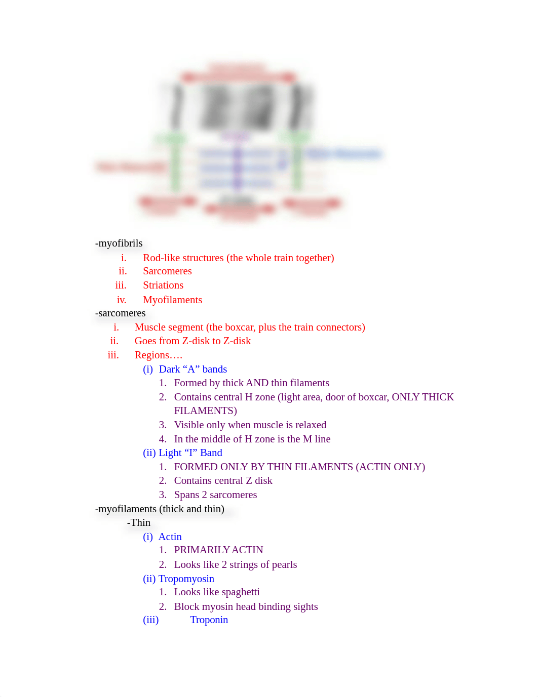 Study Guide A&P Exam 3_djgofq8ywfz_page3