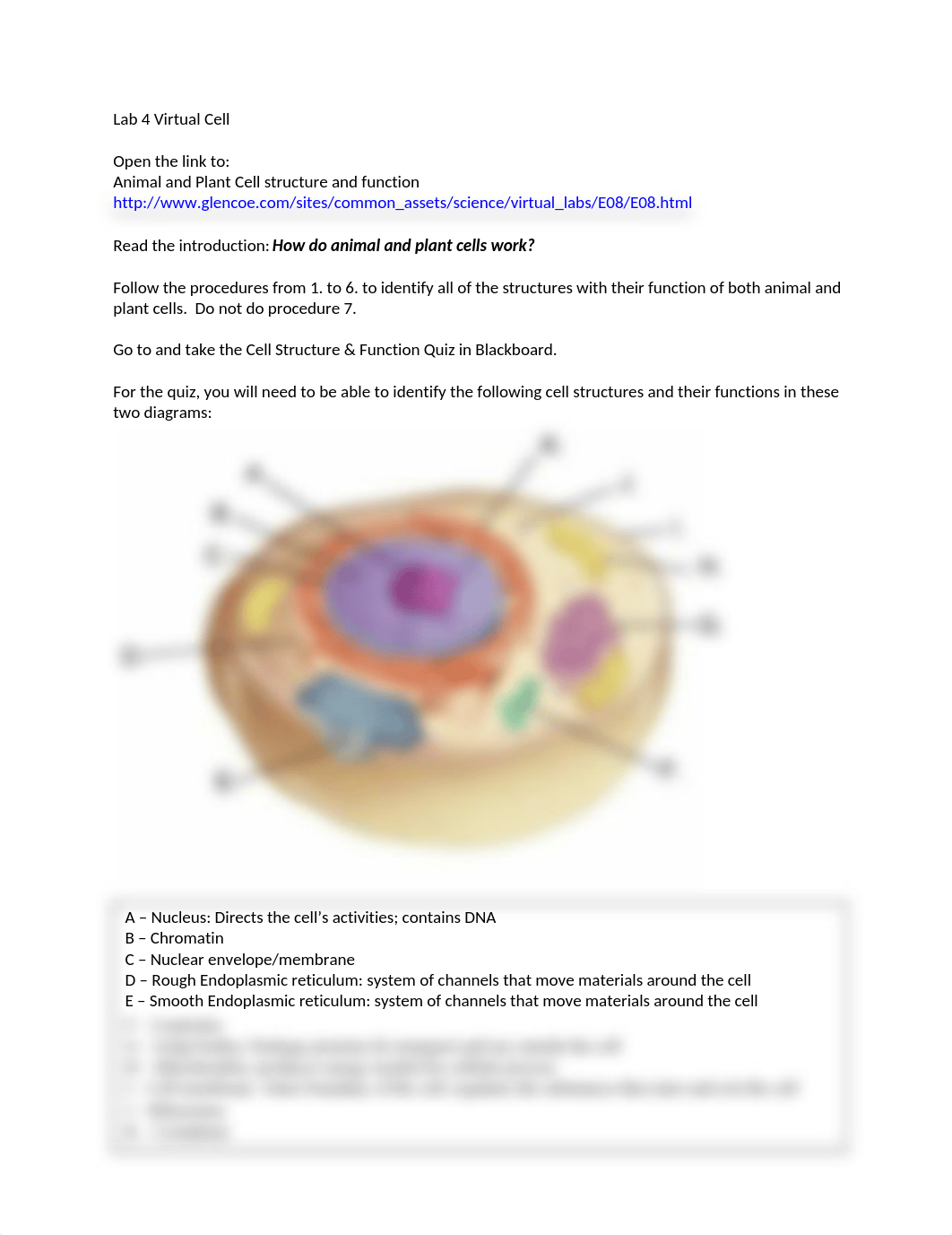 Lab 4 Cell Structure & Function_djgqw0gpnow_page1