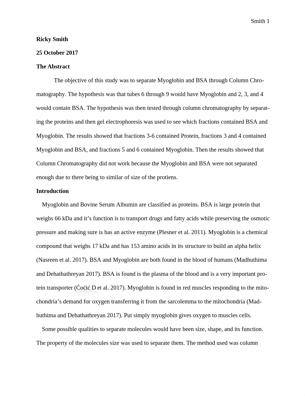 Lab Report 1.docx_djgtjl6c5lr_page1