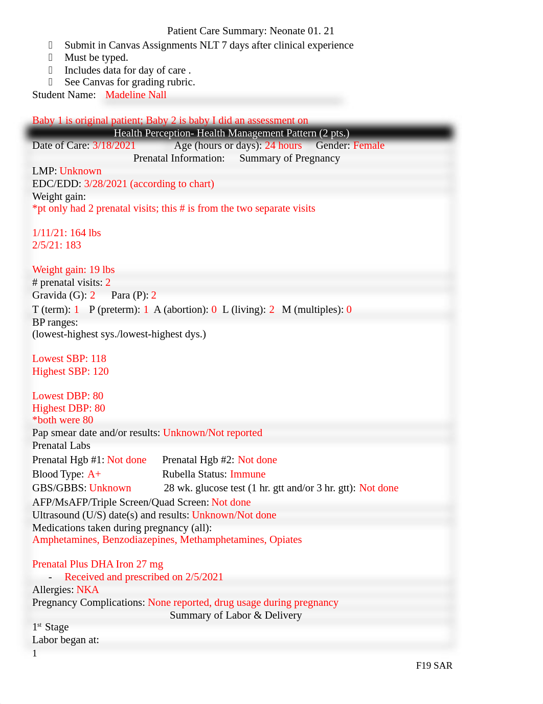 Patient Care Summary Neonate 01.18. 21.docx_djgw5j32xo2_page1