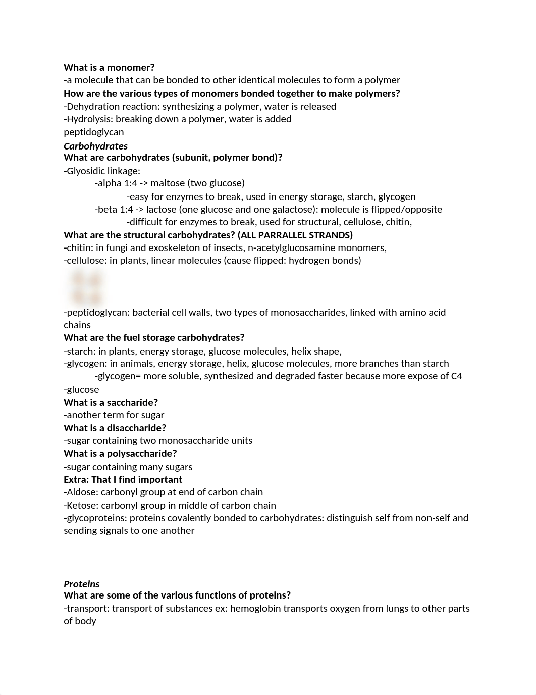 Cell Biology Study Guide 1.docx_djgx54j0mi0_page3