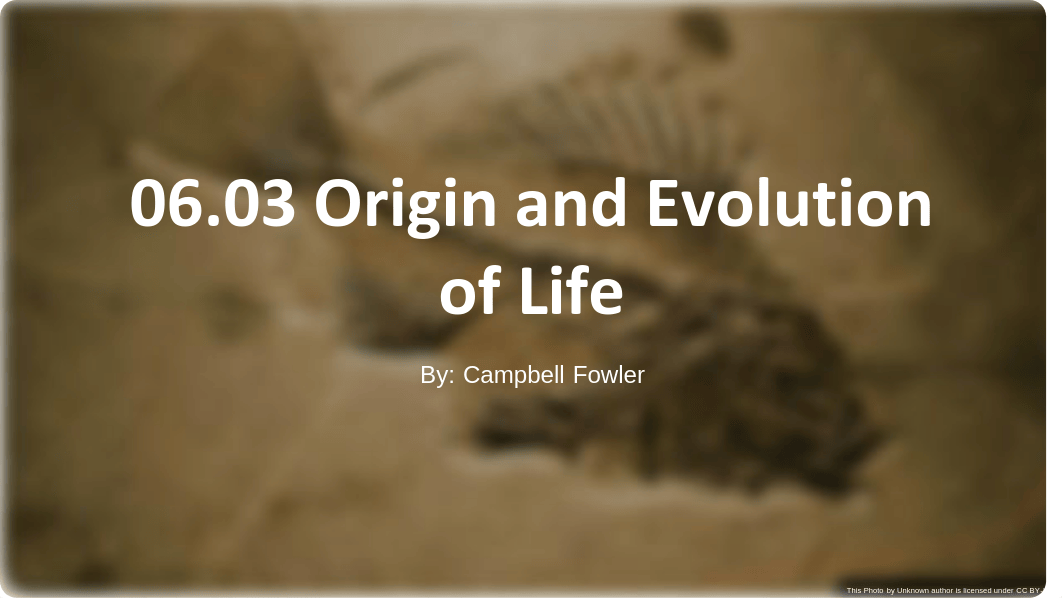 06.03 Origin and Evolution of Life assessment.pdf_djgyrf08603_page1