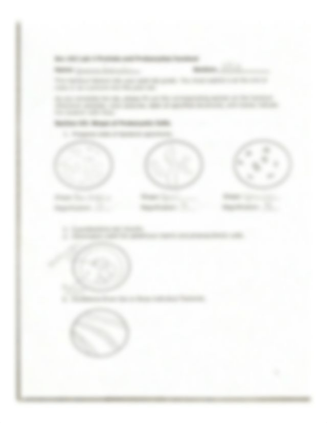 Bio 102 Lab 4 Protists and Prokaryotes handout.pdf_djgytk0275i_page1