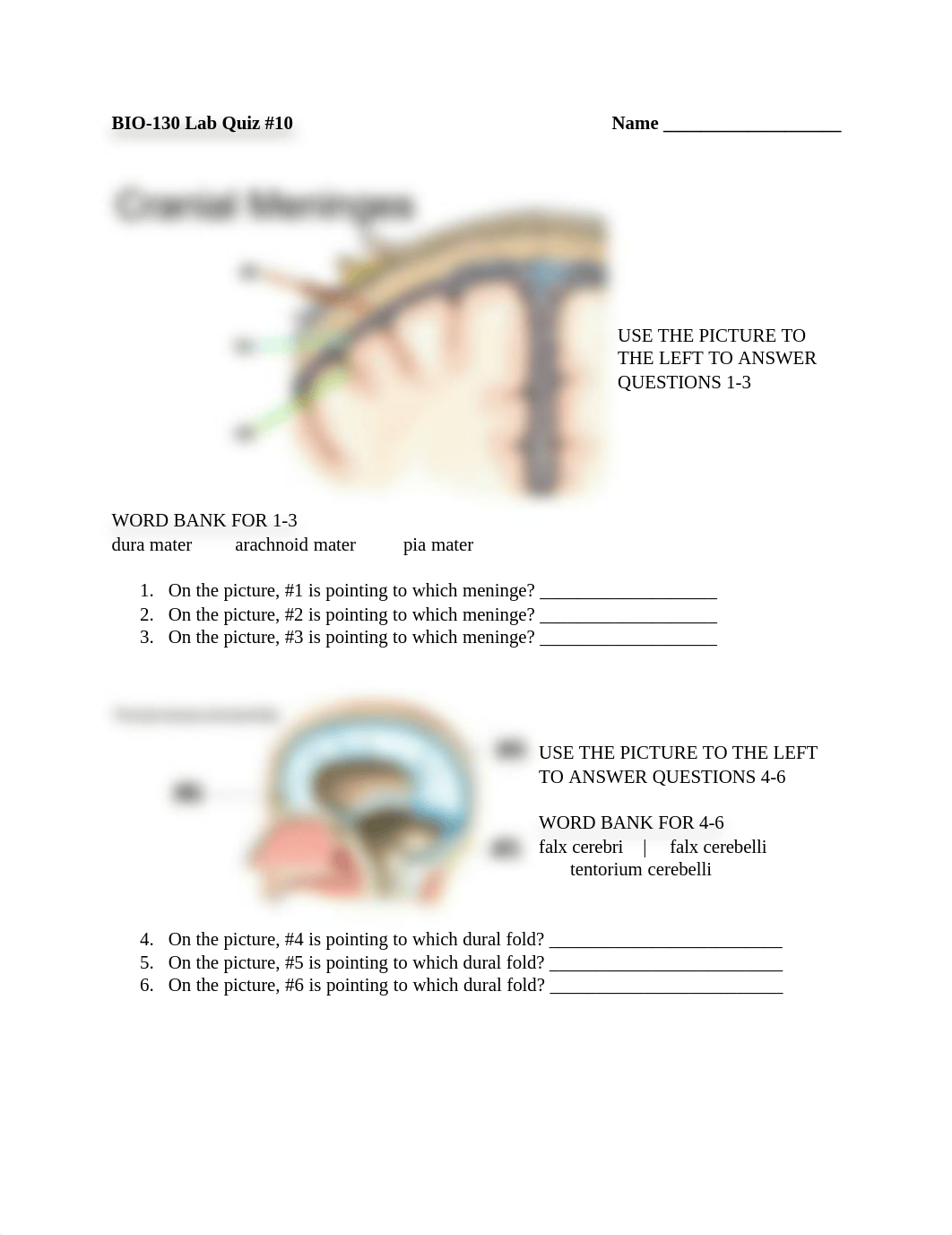 Lab Quiz 10_djh6grtncj0_page1