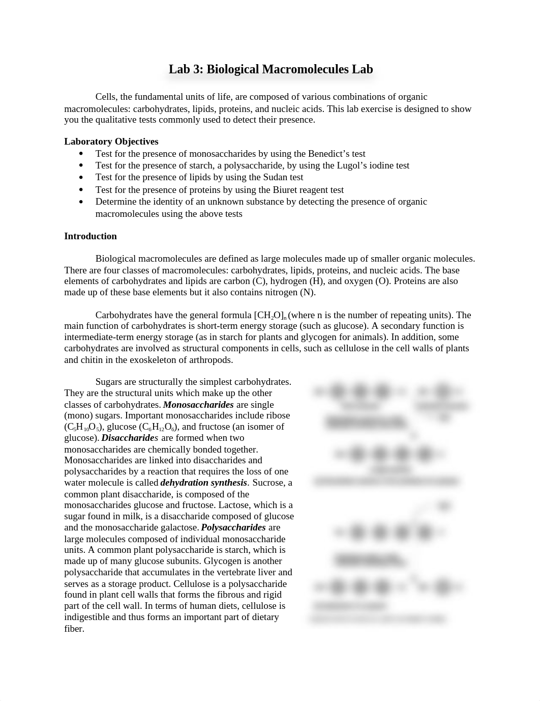 Bio lab 3- Biological Macromolecules Lab.docx_djh76tfe02w_page1