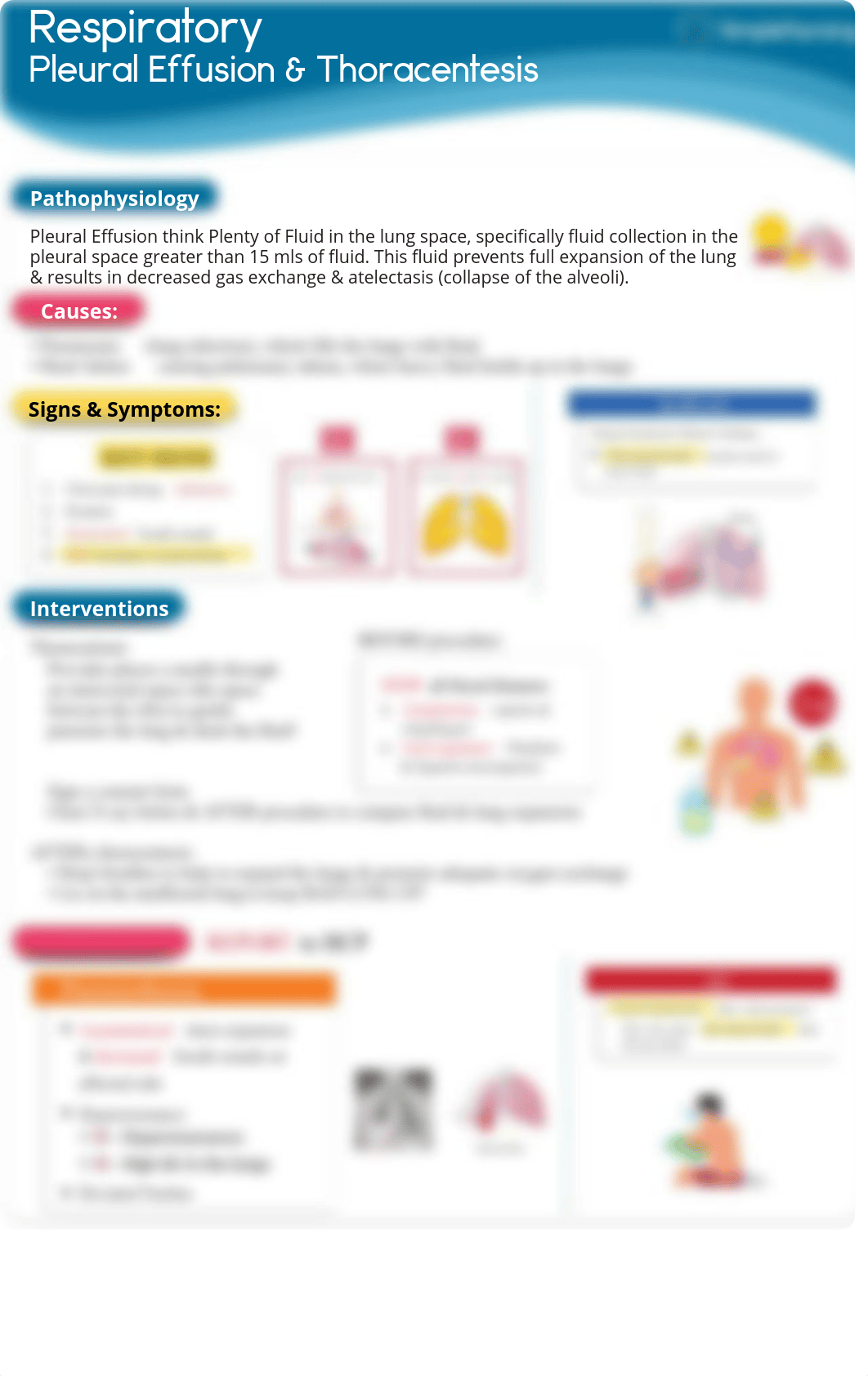 Studyguide.pdf_djh99m3g7hm_page3