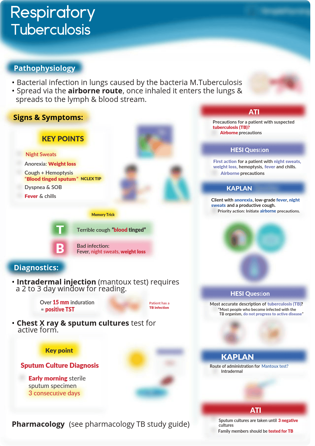 Studyguide.pdf_djh99m3g7hm_page2