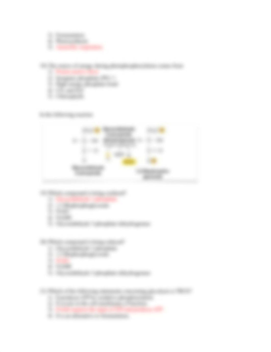 EXAM 1 version 1 KEY.docx_djhbg50s7p0_page4