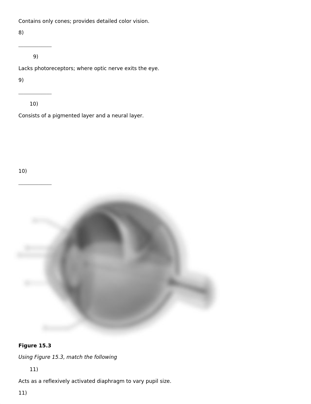 15 chapter tb_djhes4kn8jq_page3