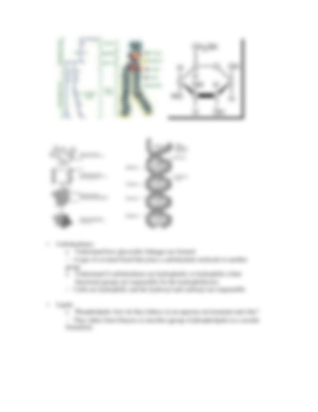 Bio 101 Lab Study Guide for Test 1_djhhnvjrcfq_page3