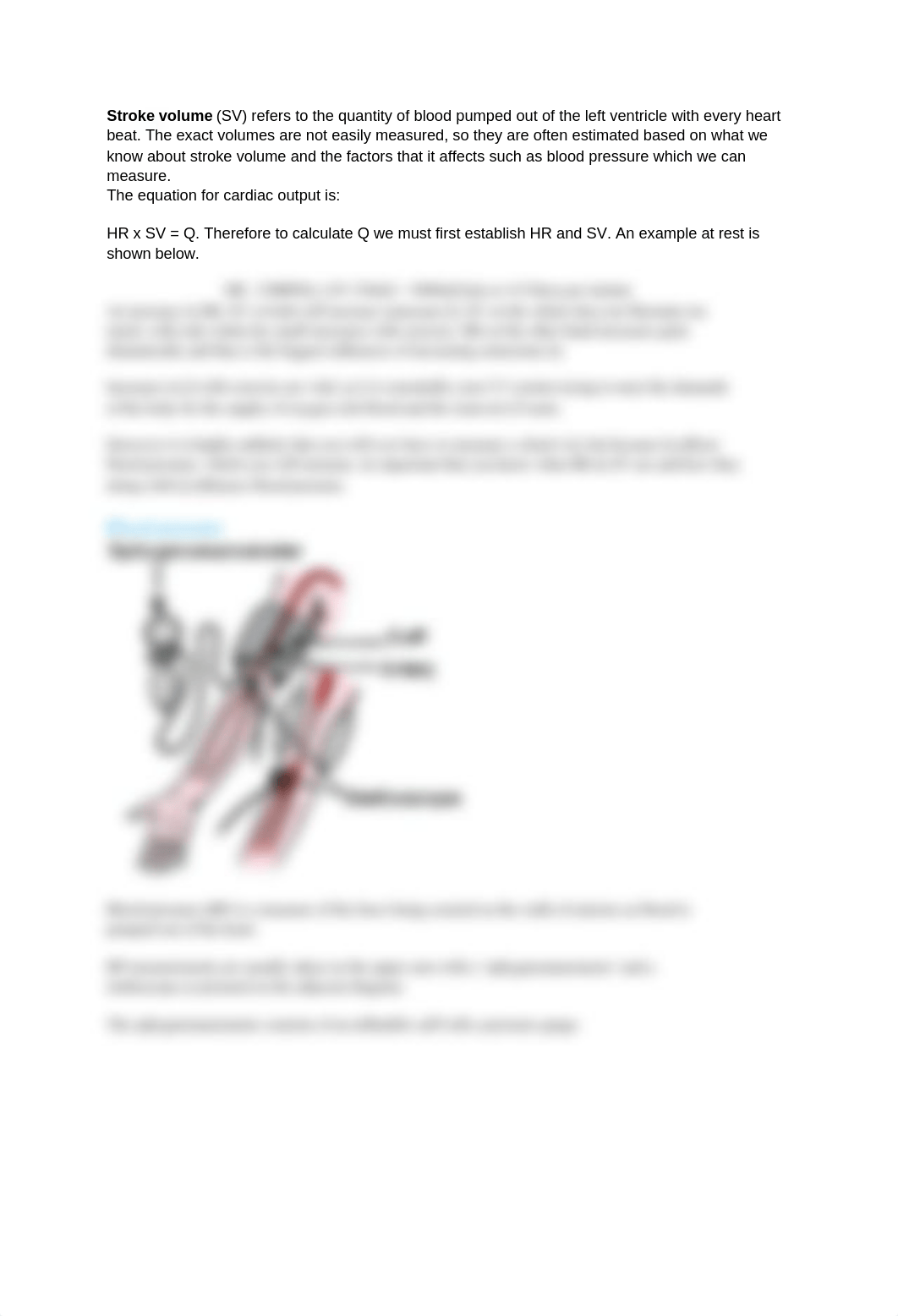 Cardiac Output and Blood Pressure.docx_djhibm3yqg0_page2