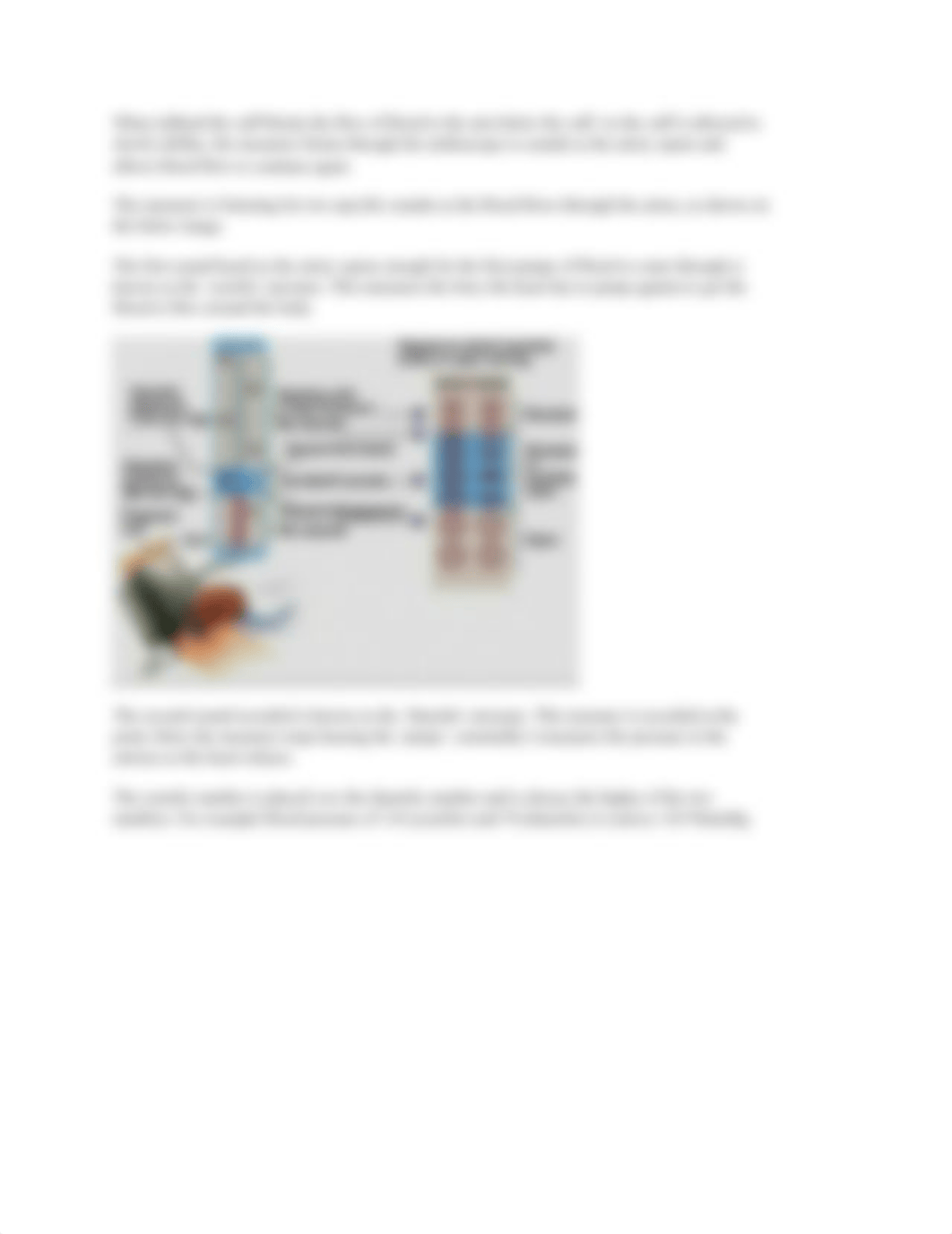 Cardiac Output and Blood Pressure.docx_djhibm3yqg0_page3