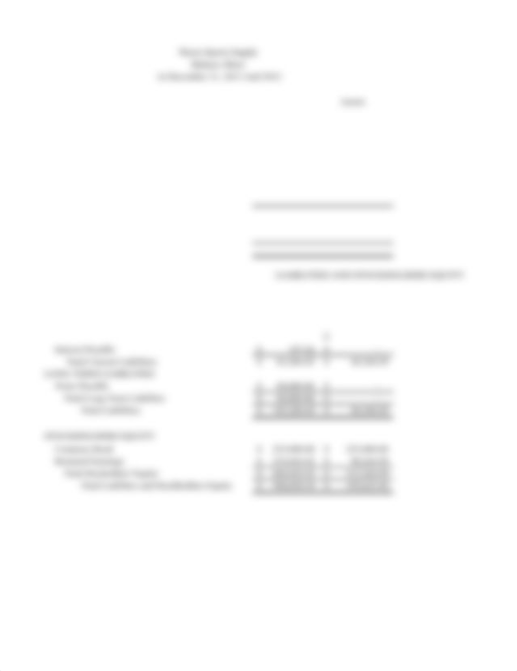 warren supply balance_sheet_djhpfyoynfc_page1