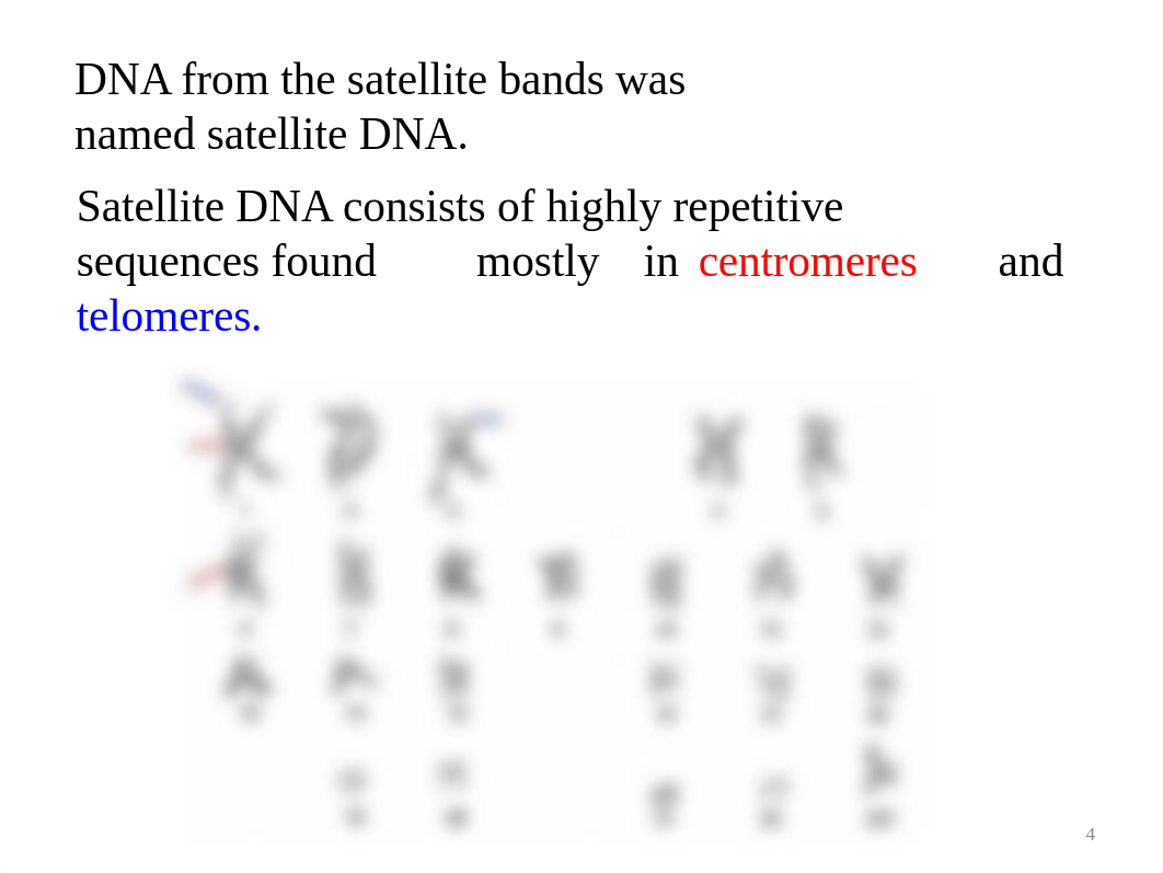 king_tut+Case+Study.pptx_djhsn9c4syh_page4