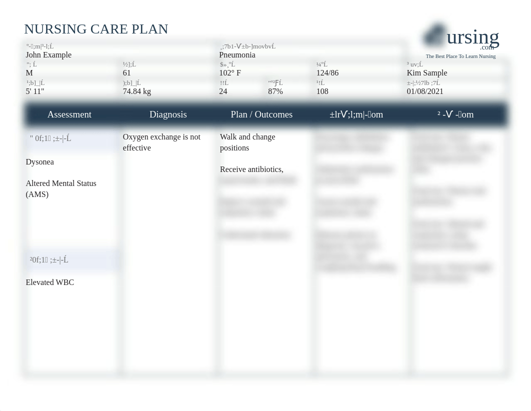 Example-Nursing-Care-Plan-For-Pneumonia.pdf_djhulokgti6_page1