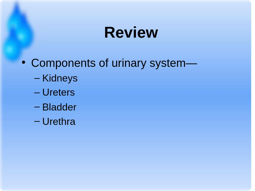 Urinary System Disorders_djhx1yth7xz_page2