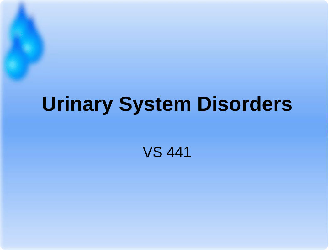 Urinary System Disorders_djhx1yth7xz_page1