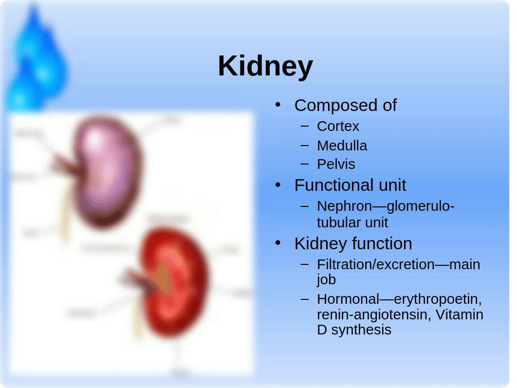 Urinary System Disorders_djhx1yth7xz_page3