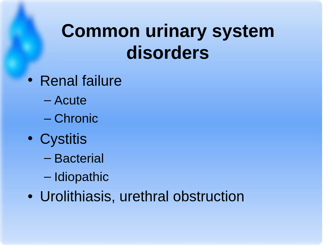 Urinary System Disorders_djhx1yth7xz_page5