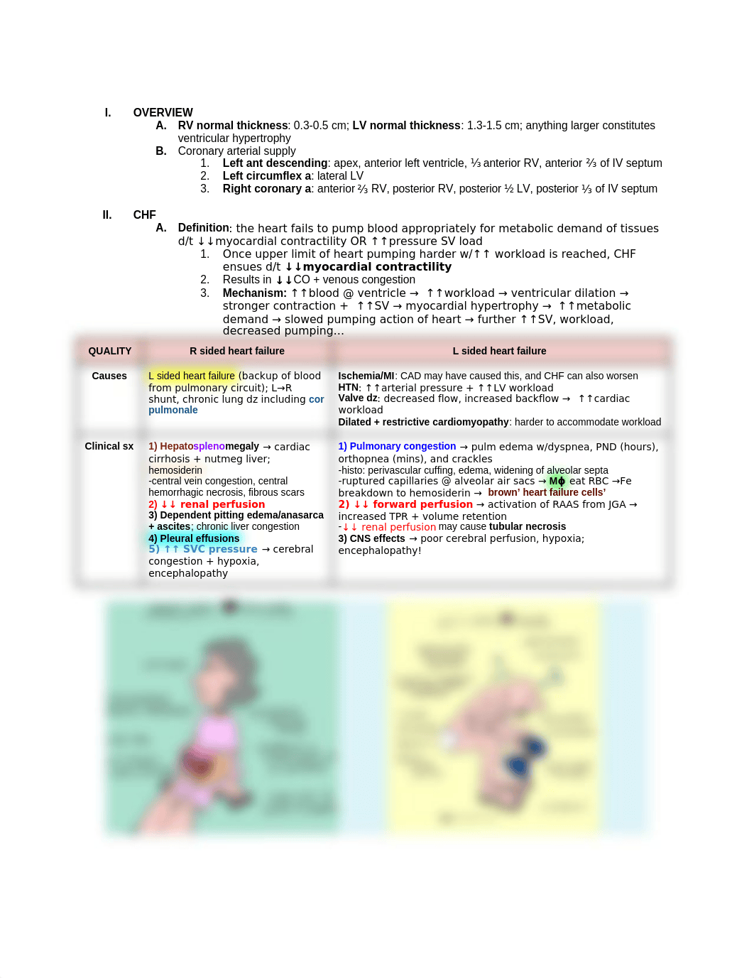 PATHOMA SECTION 8_ CARDIAC PATHOLOGY.docx_dji0ctkcqgq_page1