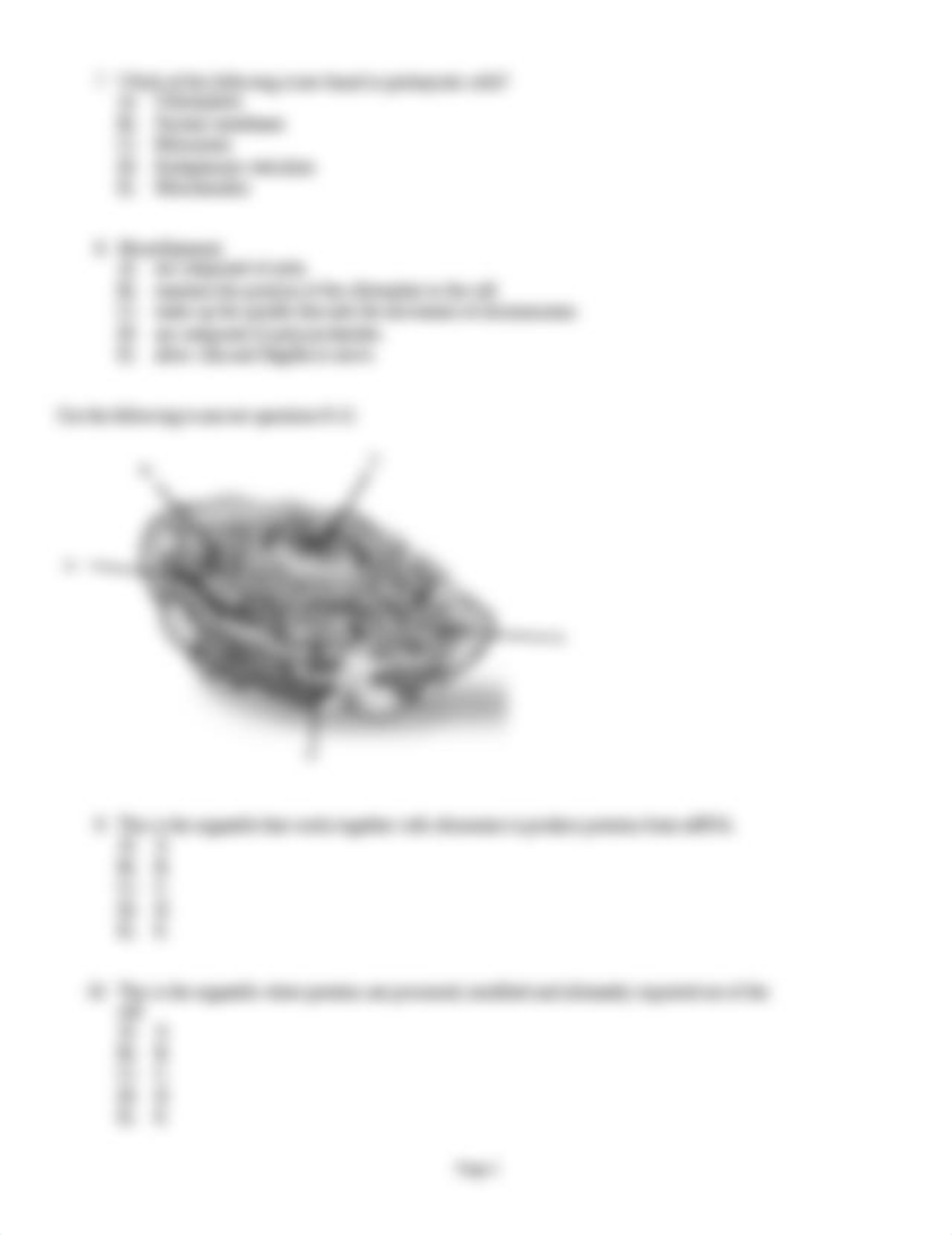 Exam2_Old.docx_dji8g3ltss3_page2