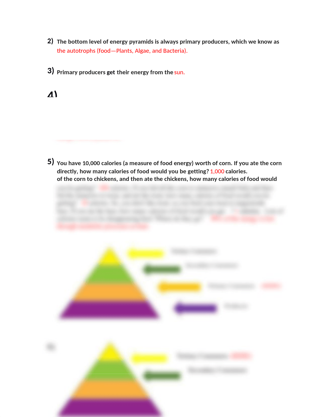 Energy Pyramids and Food Webs Lab SOLVED.docx_djicvsgzort_page2