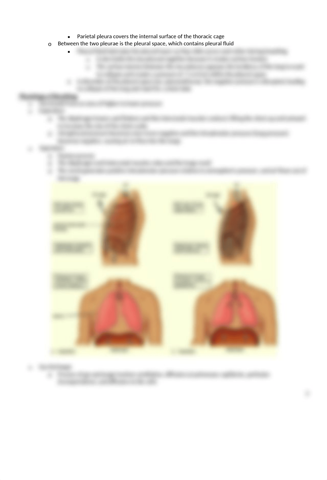 Sole - Ch 9 Ventilator Assist_djiq8ne4b9h_page2